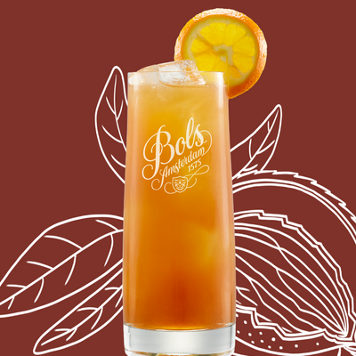 Alabama Slammer Cocktail Recipe with Bols Amaretto Products