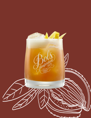 Amaretto Sour Cocktail Recipe with Bols Amaretto Products
