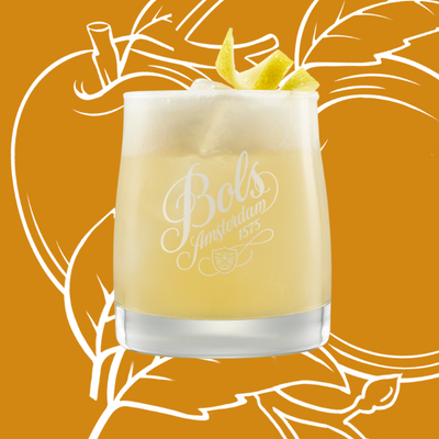 Apricot Brandy Sour Cocktail Recipe with Bols Apricot Brandy Products