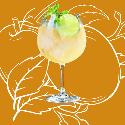 Apricot Brandy Spritz Cocktail Recipe with Bols Apricot Brandy Products