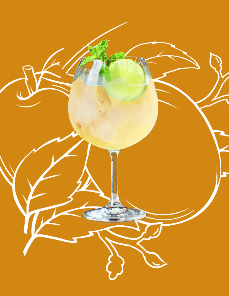 Apricot Brandy Spritz Cocktail Recipe with Bols Apricot Brandy Products