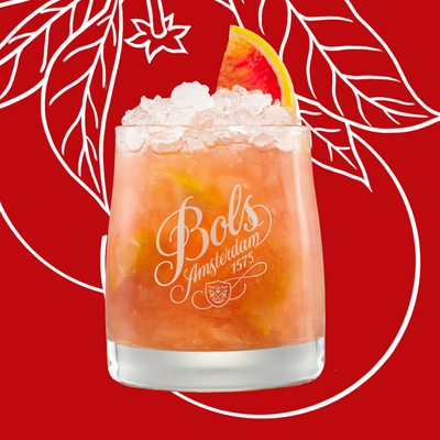 Blood Red Orange Cocktail Recipe with Bols Red Orange and Genever 21 Products