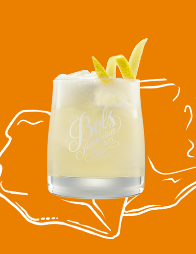 Butterscotch Sour Cocktail Recipe with Bols Butterscotch Products