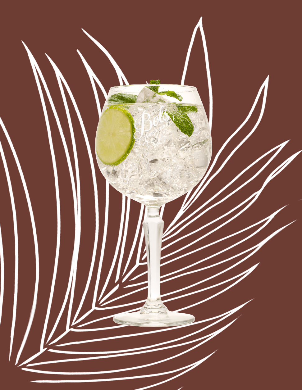Coconut Spritz Cocktail Recipe with Bols Coconut Products