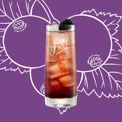Crème de Cassis Easy Mix Cocktail Recipe with Bols Crème de Cassis Products