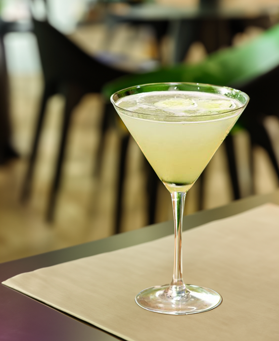 Cucumber Gimlet Cocktail Recipe with Bols Cucumber Products