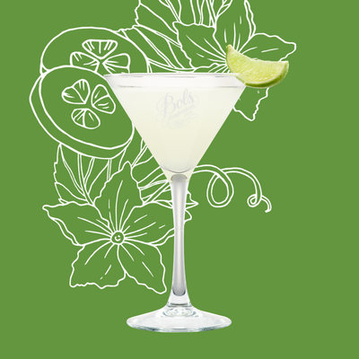 Cucumber Gimlet Cocktail Recipe with Bols Cucumber Products