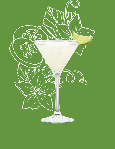 Cucumber Gimlet Cocktail Recipe with Bols Cucumber Products