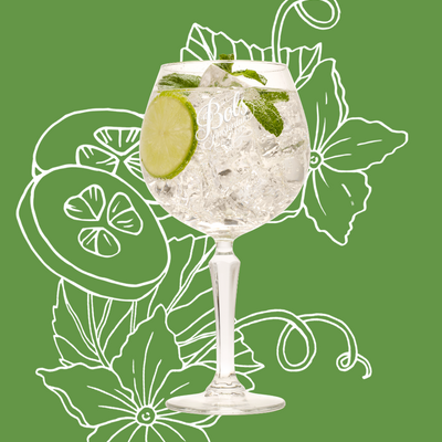 Cucumber Spritz Cocktail Recipe with Bols Cucumber Products