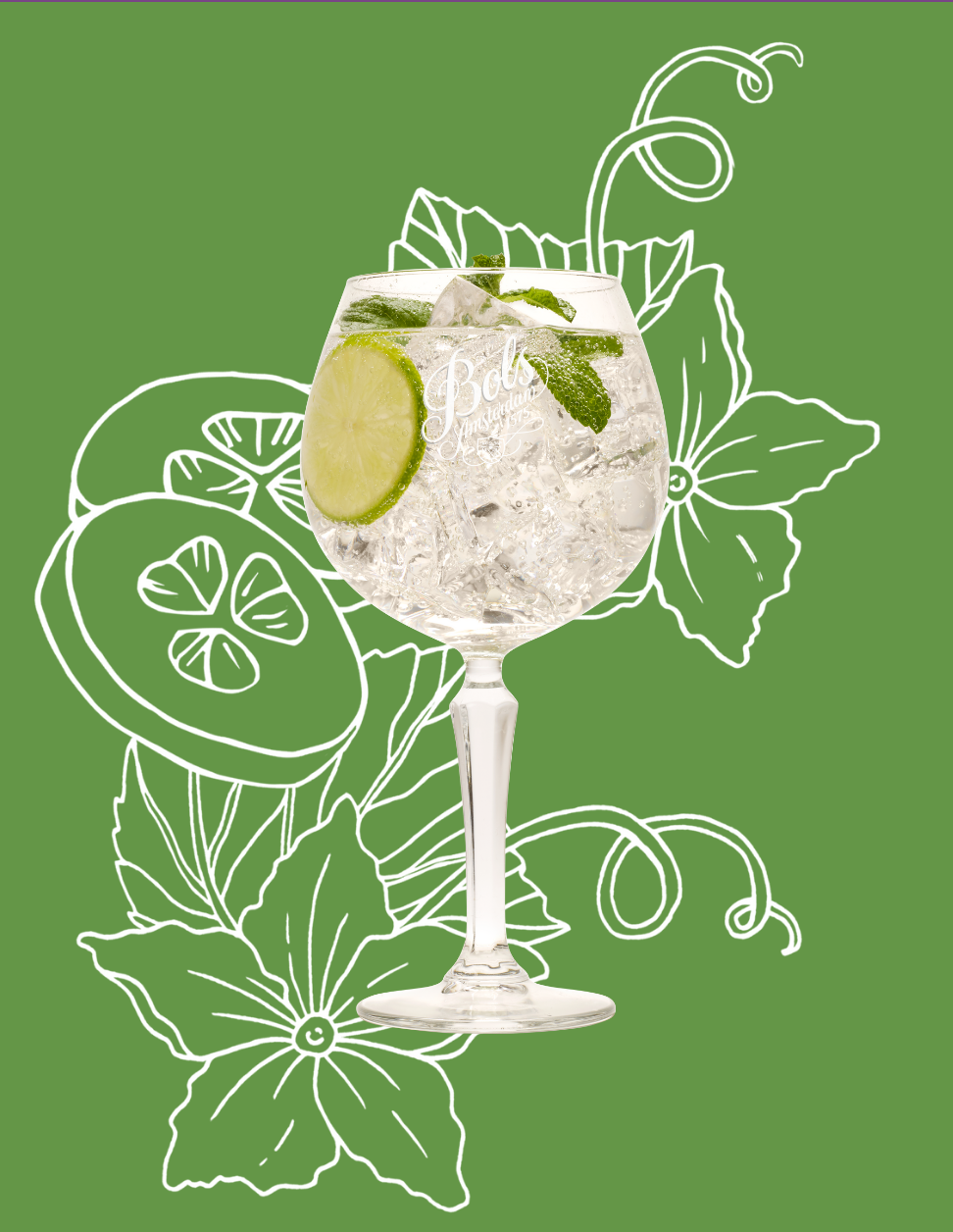 Cucumber Spritz Cocktail Recipe with Bols Cucumber Products