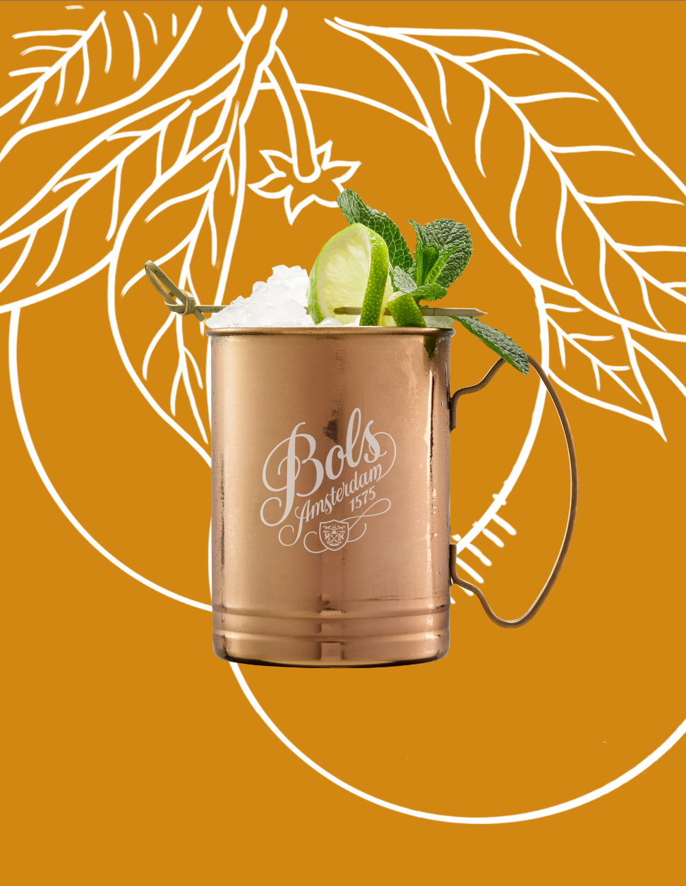Dry Orange Mule Cocktail Recipe with Bols Dry Orange Products