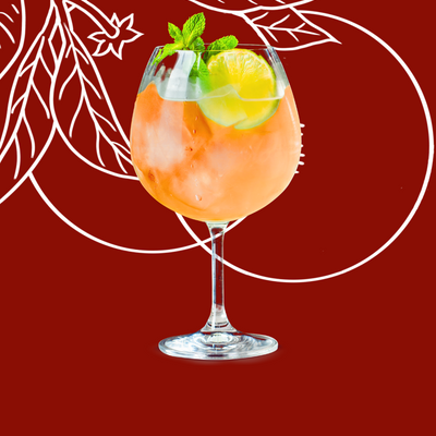 Dry Orange Spritz Cocktail Recipe with Bols Dry Orange Products