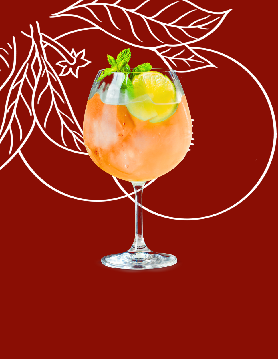 Dry Orange Spritz Cocktail Recipe with Bols Dry Orange Products