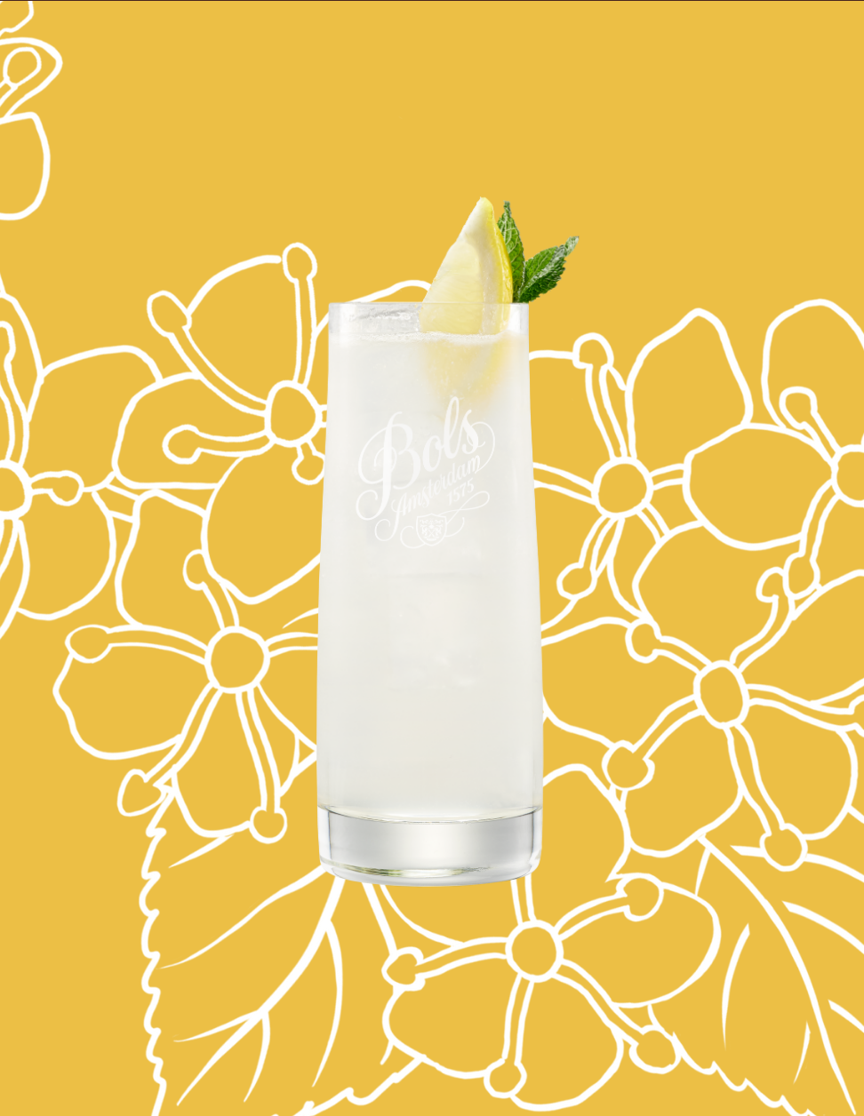 Elderflower Collins Cocktail Recipe with Bols Elderflower and Genever Products