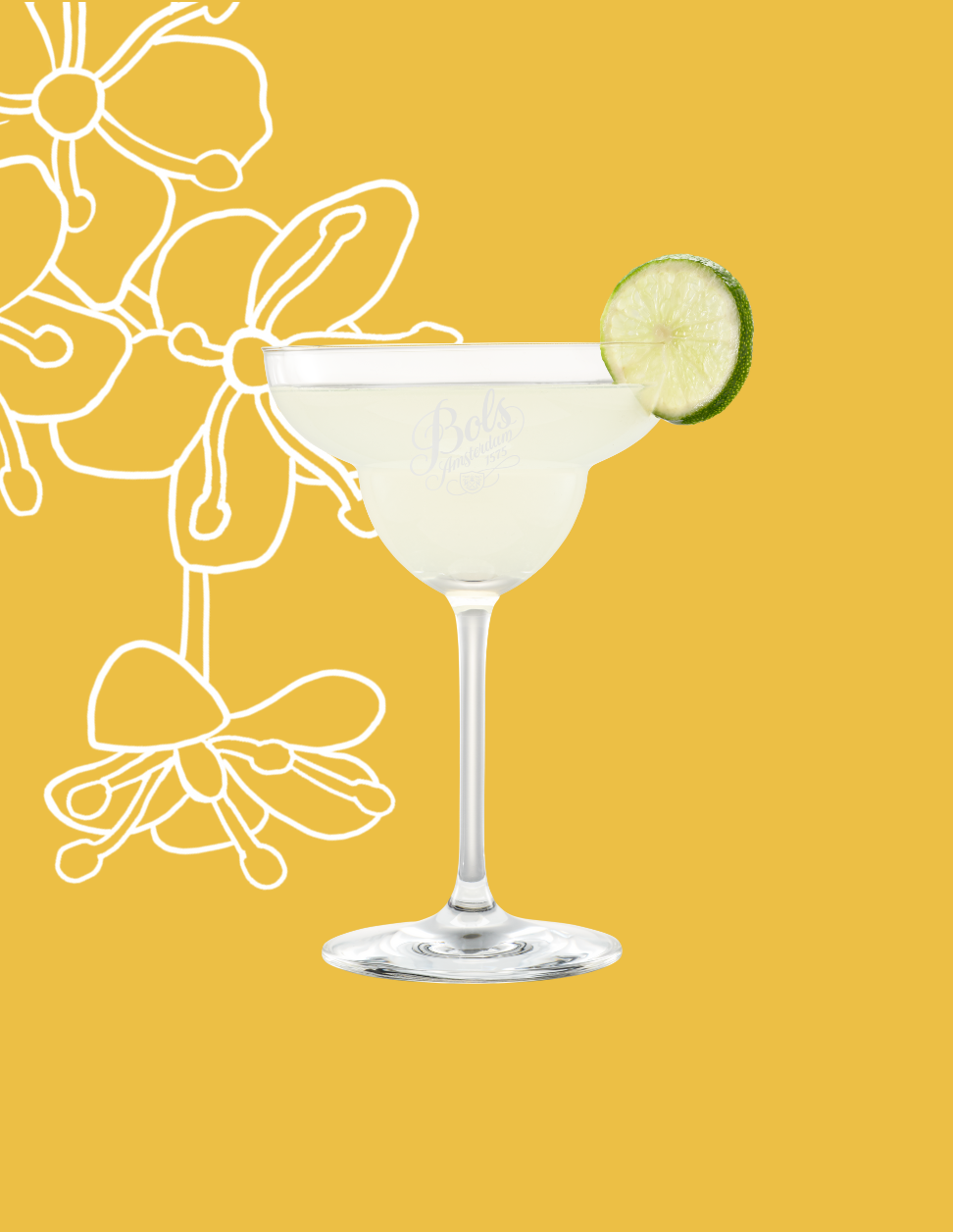 Elderflower Margarita Cocktail Recipe with Bols Elderflower Products