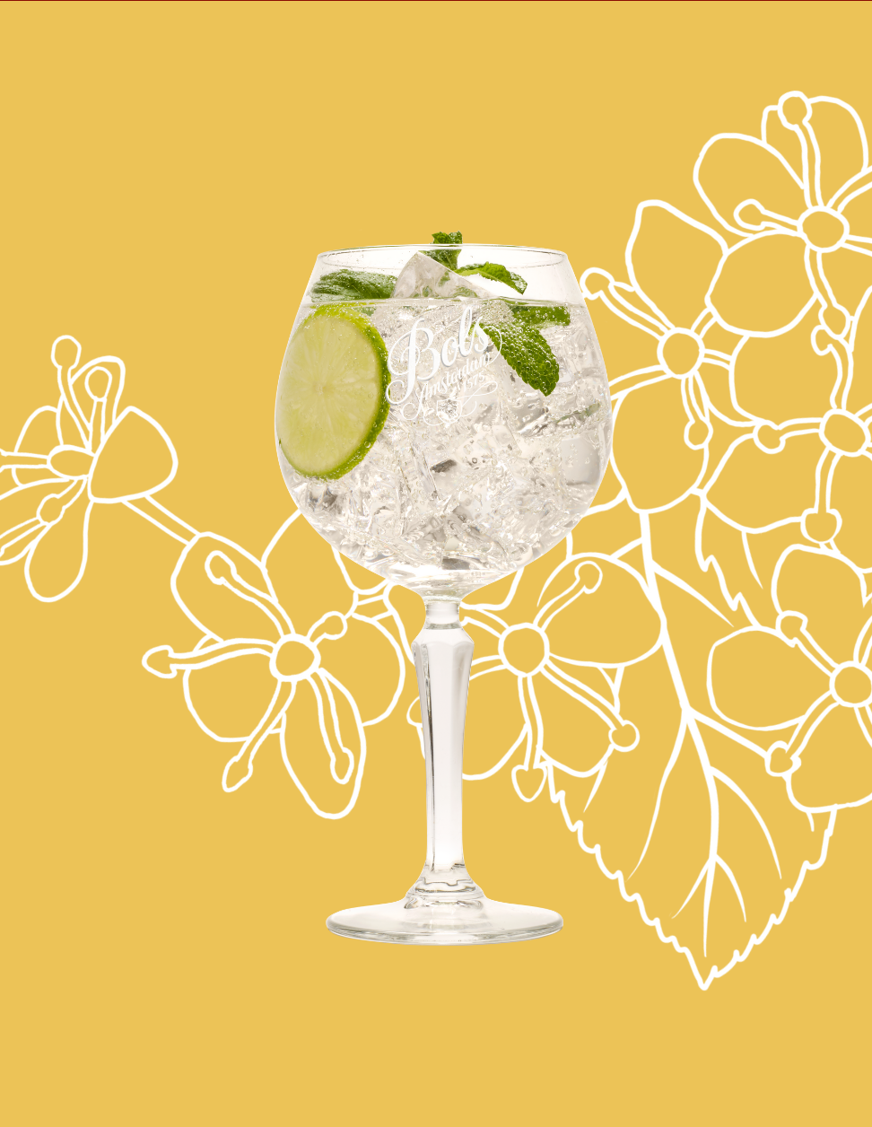 Elderflower Spritz Cocktail Recipe with Bols Elderflower Products