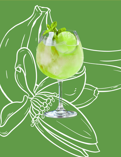 Green Banana Spritz Cocktail Recipe with Bols Green Banana Products