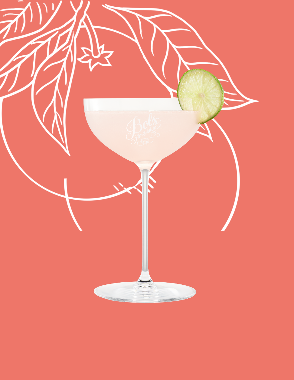 Hemingway Daiquiri Cocktail Recipe with Bols Maraschino and Pink Grapefruit Products