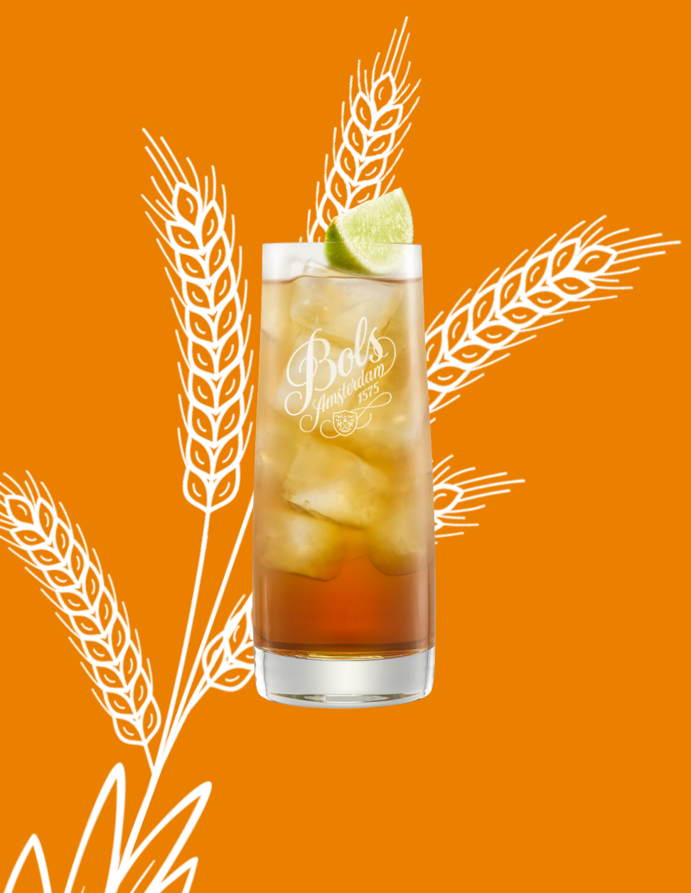 Long Island Iced Tea Cocktail Recipe with Bols Triple Sec and Vodka Products