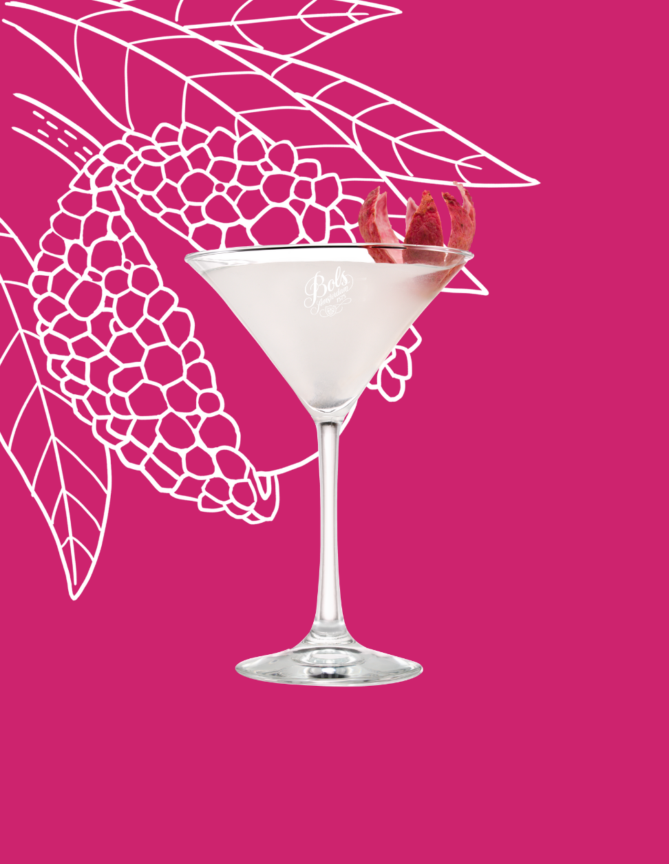 Lychee Martini Cocktail Recipe with Bols Lychee and Vodka Products
