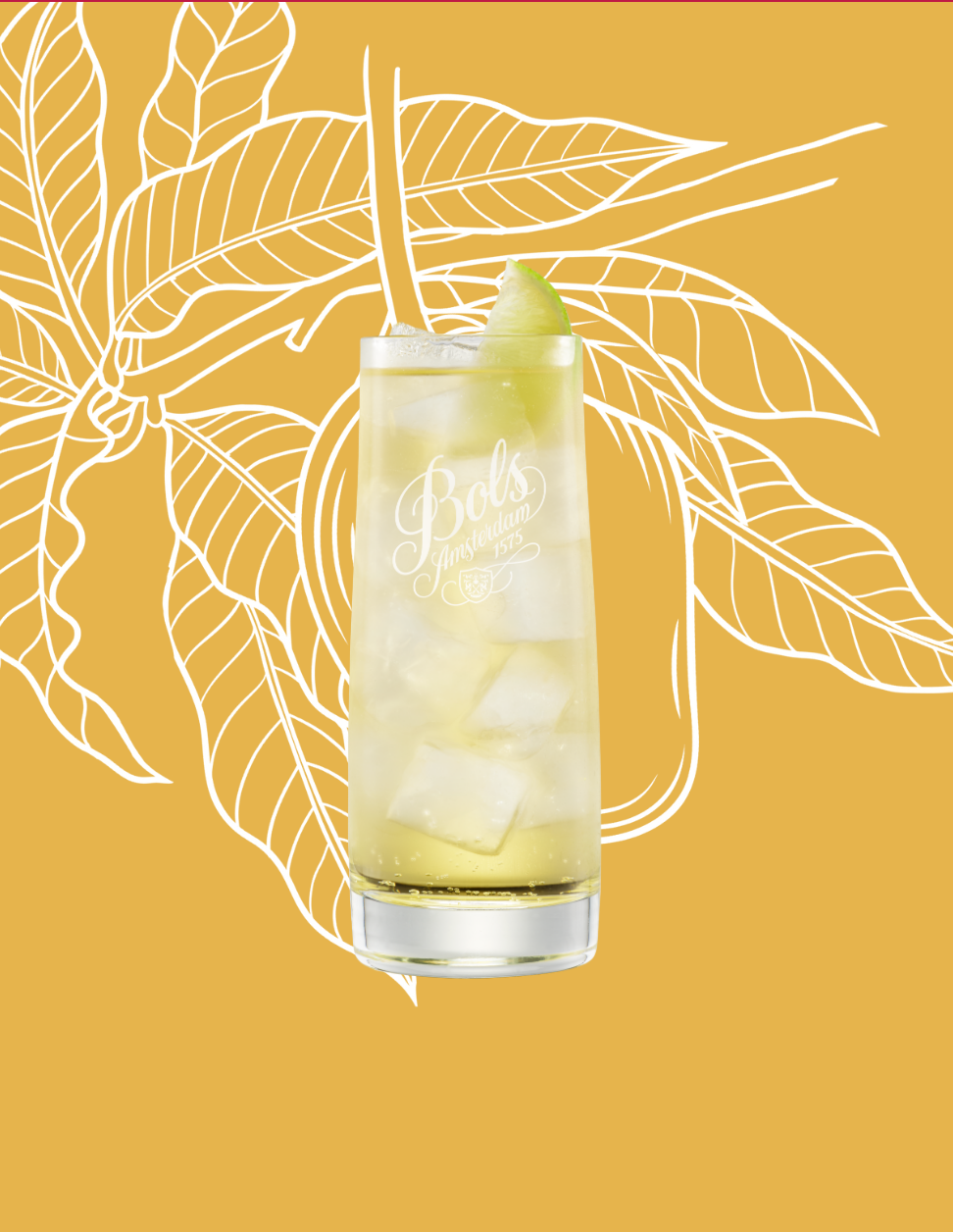 Mango Easy Mix Cocktail Recipe with Bols Mango Products