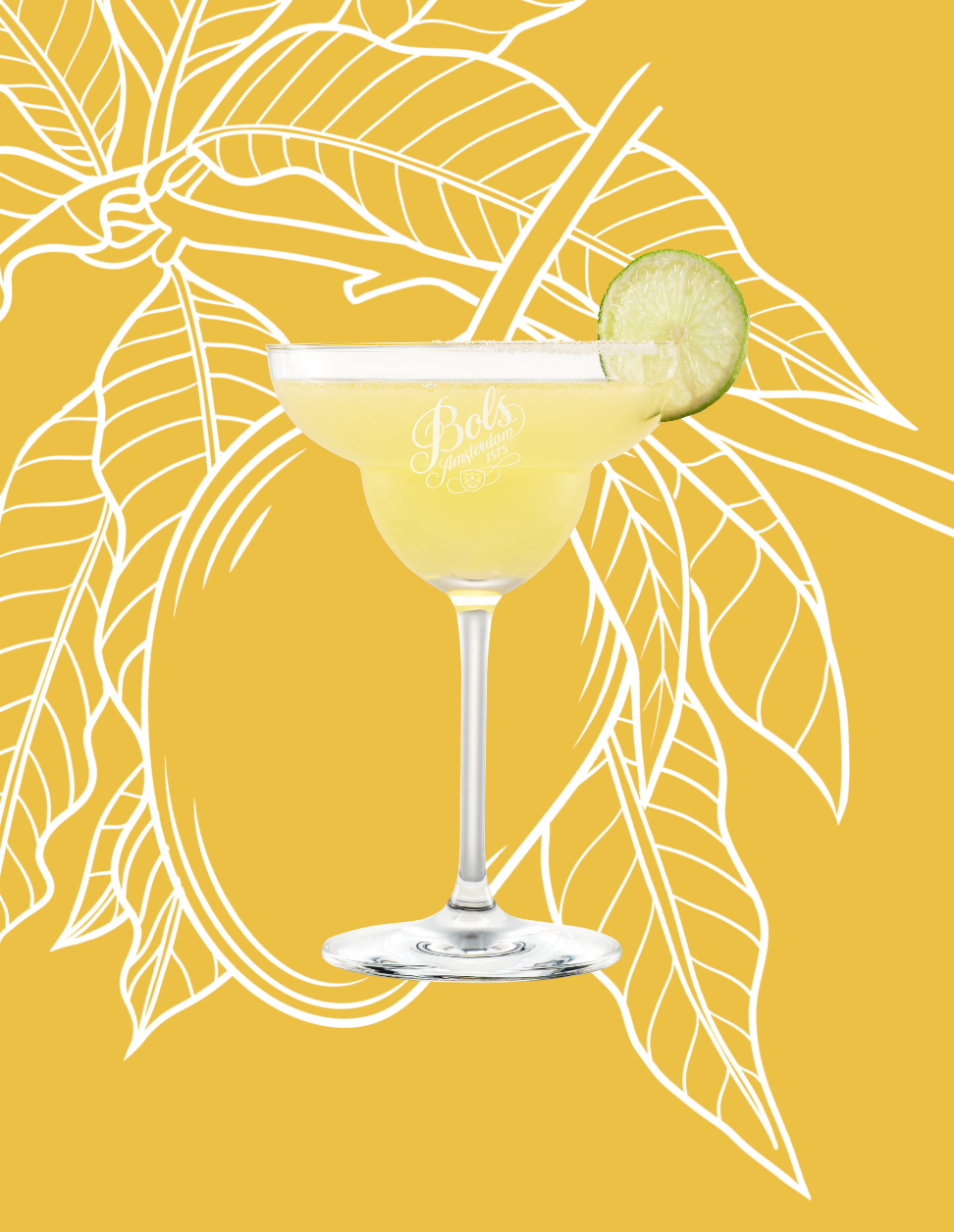 Mango Margarita Cocktail Recipe with Bols Mango and Triple Sec Products