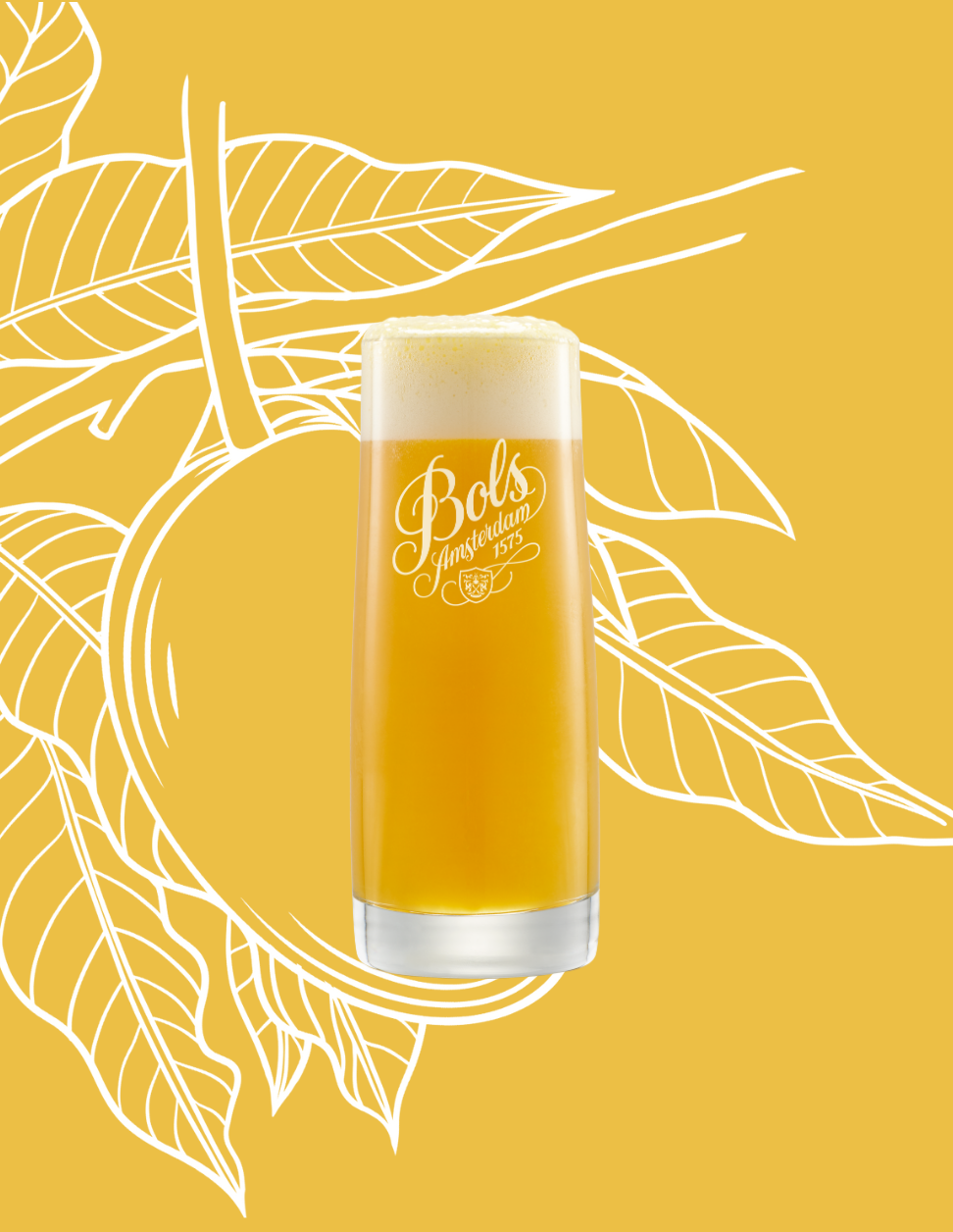 Mango Michelada Cocktail Recipe with Bols Mango Products