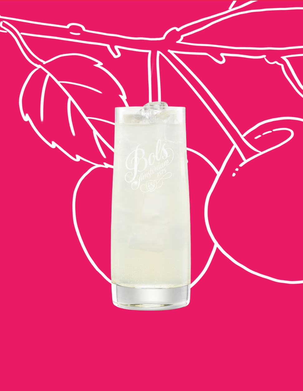 Maraschino Tonic Cocktail Recipe with Bols Maraschino Products