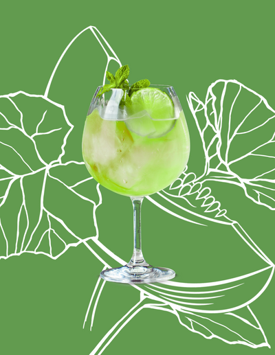 Melon Spritz Cocktail Recipe with Bols Melon Products