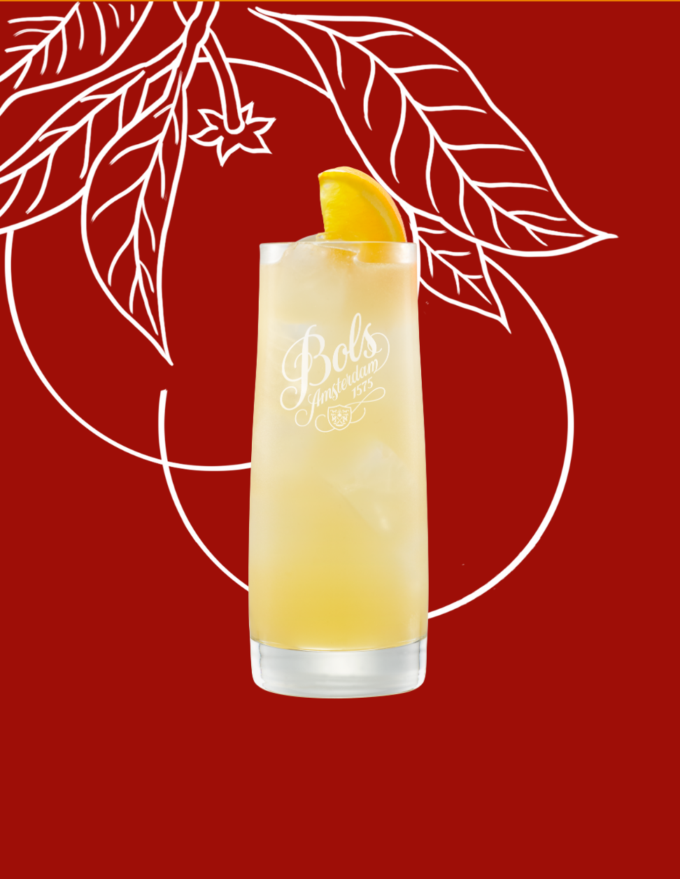 Orange Collins Cocktail Recipe with Bols Dry Orange Products