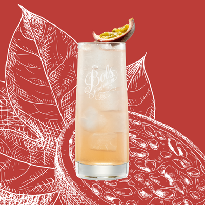 Passion Fruit Collins Cocktail Recipe with Bols Passion Fruit Products