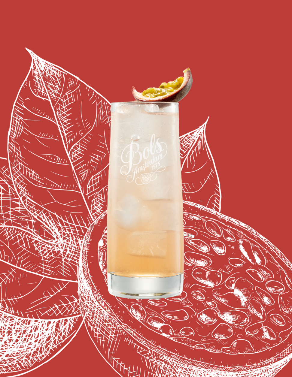 Passion Fruit Collins Cocktail Recipe with Bols Passion Fruit Products