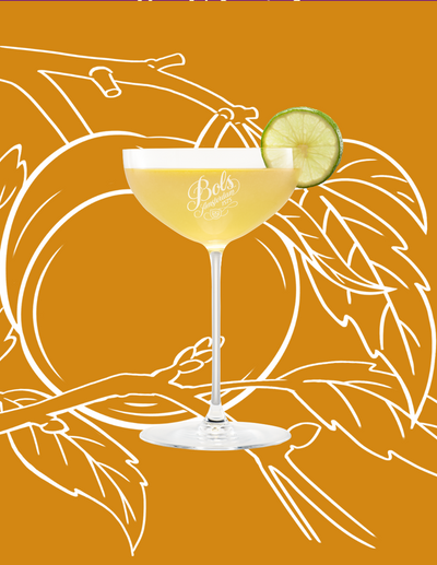 Peach Fizz Cocktail Recipe with Bols Peach and Apricot Brandy Products