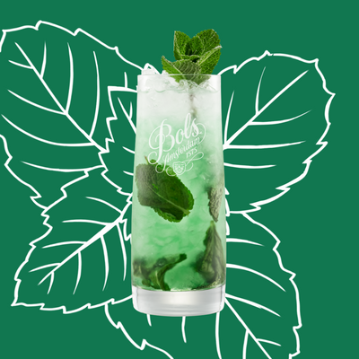 Peppermint Mojito Cocktail Recipe with Bols Peppermint Green Products