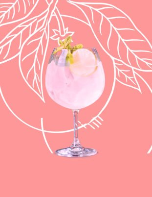 Pink Grapefruit Spritz Cocktail Recipe with Bols Pink Grapefruit Products