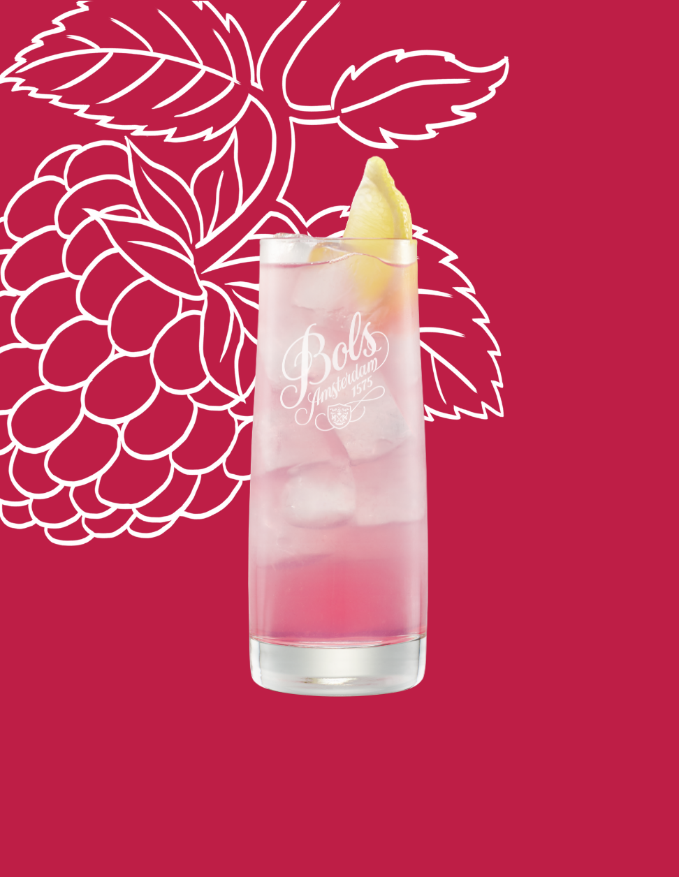 Raspberry Tonic Cocktail Recipe with Bols Raspberry Products