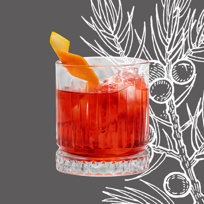 Red Light Negroni Cocktail Recipe with Bols Genever Original Products