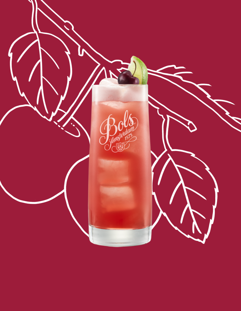 Singapore Sling Cocktail Recipe with Bols Cherry Brandy and Triple Sec Products