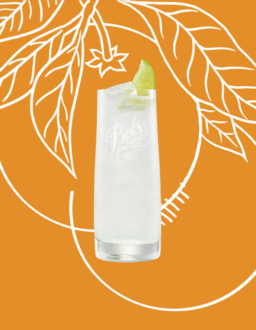 Triple Sec Tonic Cocktail Recipe with Bols Triple Sec Products