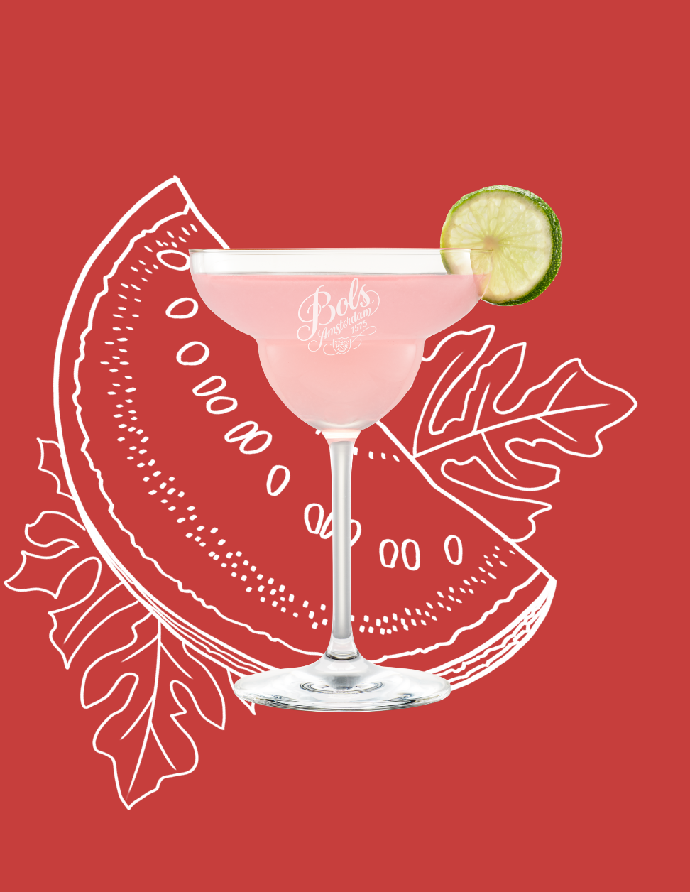 Watermelon Margarita Cocktail Recipe with Bols Watermelon Products
