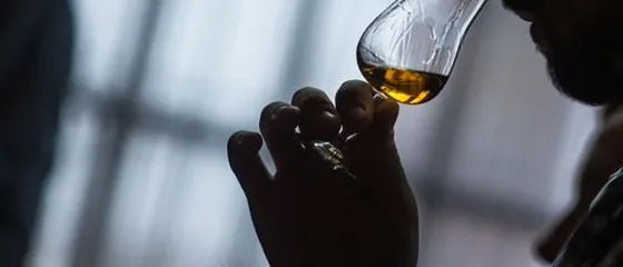 10 Reasons to go to a Bartending School
