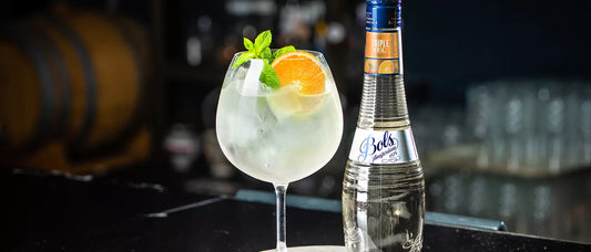 7 Best Cocktails with Bols Triple Sec