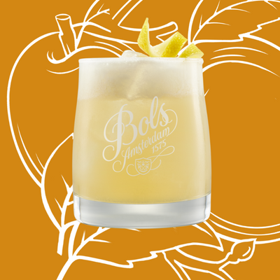 Apricot Brandy Sour Cocktail Recipe with Bols Apricot Brandy Products 