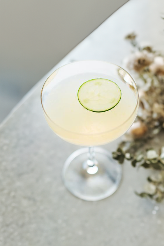 Cucumber Gimlet Cocktail Recipe with Bols Cucumber Products