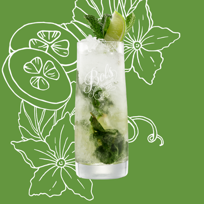 Cucumber Mojito Cocktail Recipe with Bols Cucumber Products