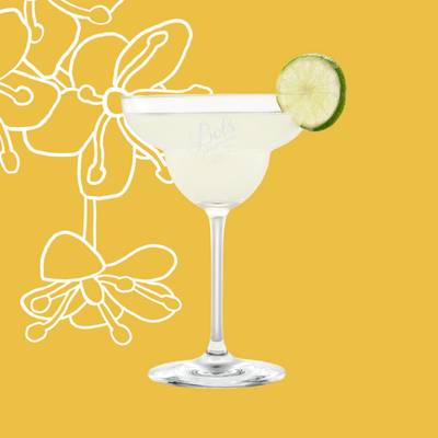 Elderflower Margarita Cocktail Recipe with Bols Elderflower Products