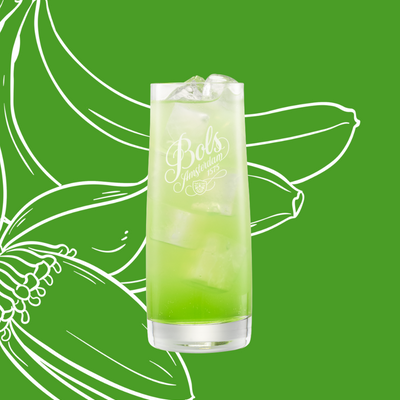 Green Banana Easy Mix Cocktail Recipe with Bols Green Banana Products