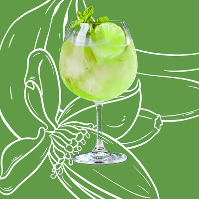 Green Banana Spritz Cocktail Recipe with Bols Green Banana Products