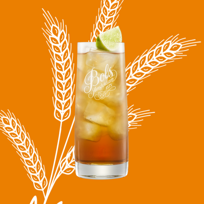 Long Island Iced Tea Cocktail Recipe with Bols Triple Sec and Vodka Products